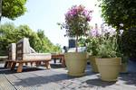 vibia campana rond 40cm saliegroen